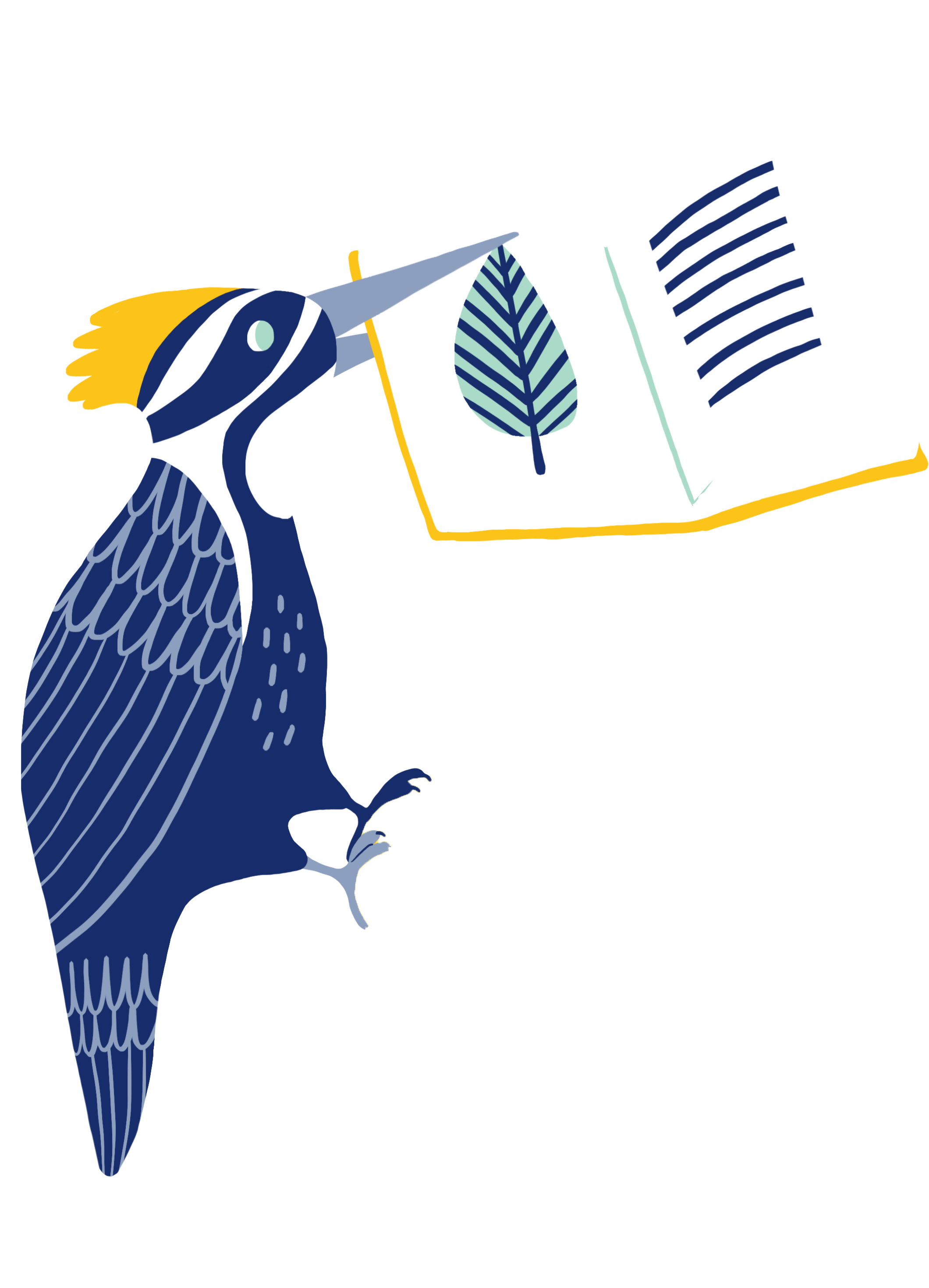 Bird holding a book in its beak