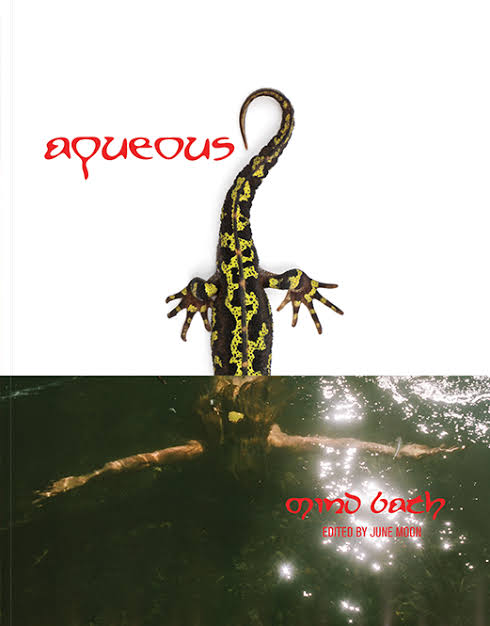 Aqueous