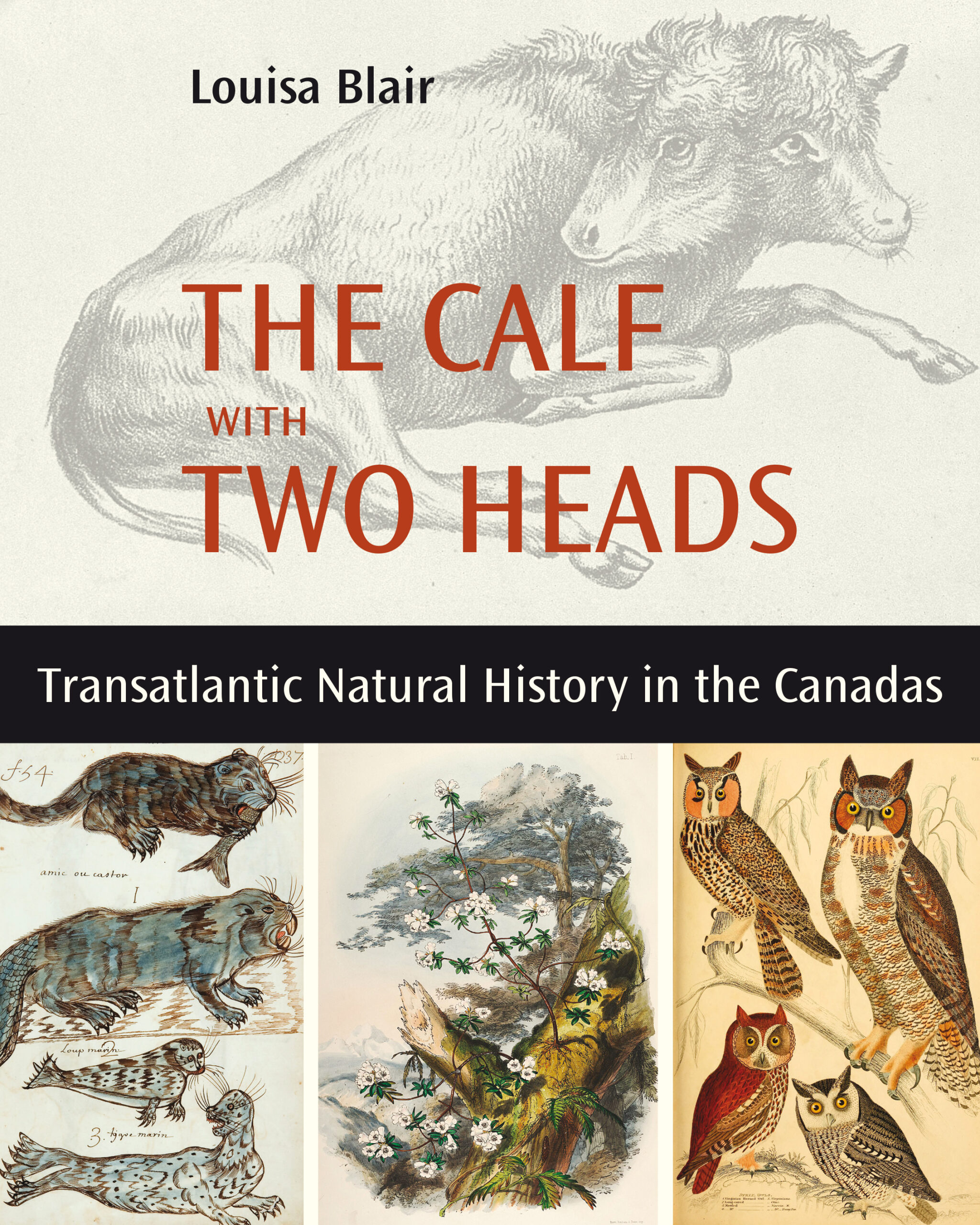 The Calf with Two Heads: Transatlantic Natural History in the Canadas