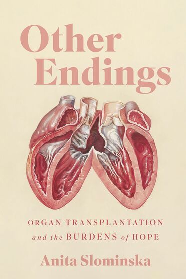 Other Endings